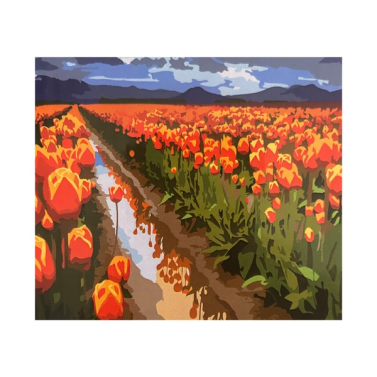 Tela Pintura Numerada 40x50 Campo de Tulipas C3040-w8344 Sinoart